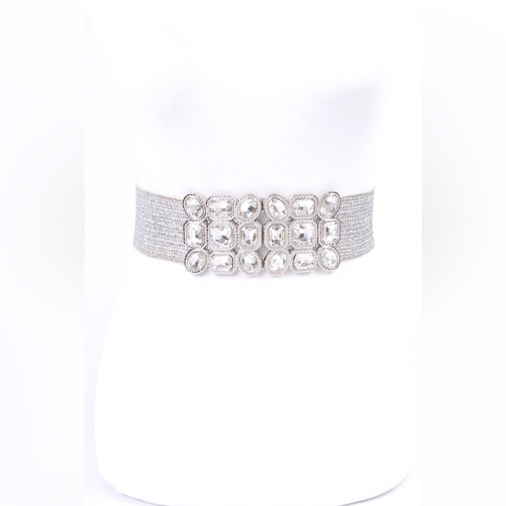 Plus Size Gold or Silver Rhinestone Straw Statement Belt - Picture 2 of 6